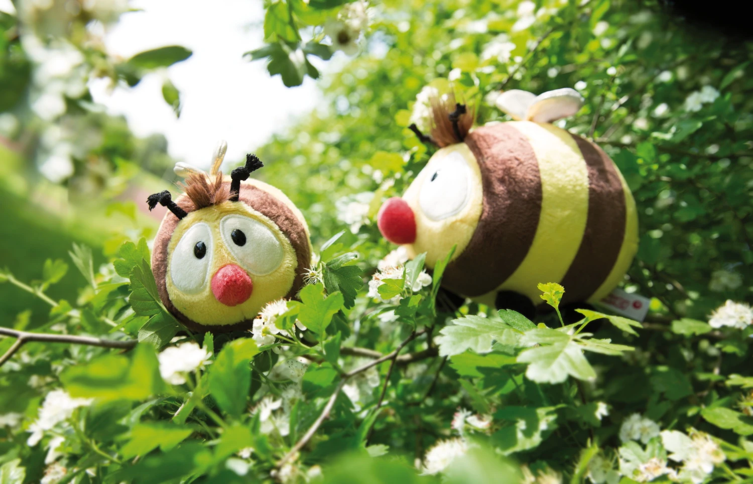 Nici 44481 Biene Classic Bear Bär Ca 17cm Plüsch Kuscheltier 7 Nici 44481 Biene Classic Bear Bär Ca 17cm Plüsch Kuscheltier – Bild 5