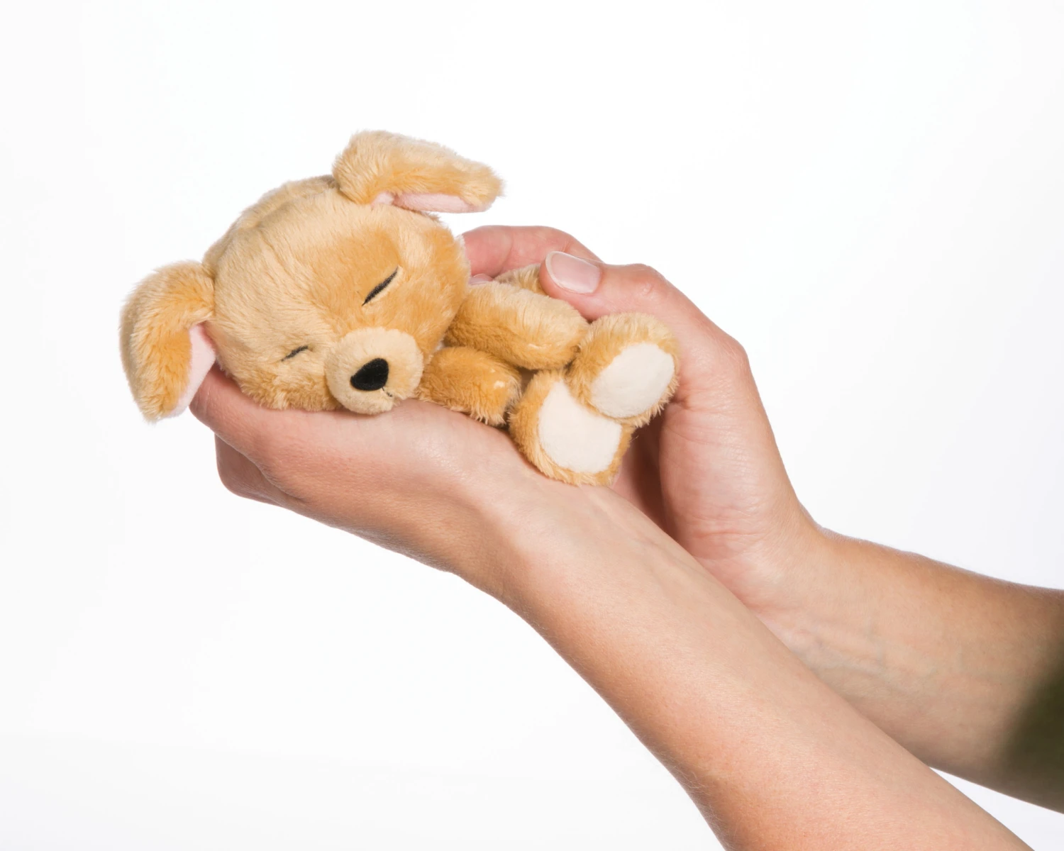 Nici 45371 Sleeping Puppies Schlafendes Hundebaby Im Körbchen 12cm Karamell 4 Nici 45371 Sleeping Puppies Schlafendes Hundebaby Im Körbchen 12cm Karamell – Bild 2