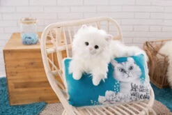 Nici 48092 Kissen Katze Meowlina Rechteckig 43x25cm Life Is Better With Cats -Donau - Zwerge 48091 10 48092 Milieu 2048x1365 4