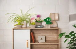 Nici 48941 Kaktus Pflanze Henriette 18cm Plüschfigur GREEN Funny Flowers 13 Nici 48941 Kaktus Pflanze Henriette 18cm Plüschfigur GREEN Funny Flowers -Donau - Zwerge 48941 11 Milieu 48942 48943 48944 Milieu me